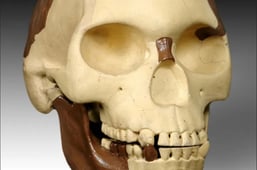 Strangest Things, Season 1 Episode 9 image