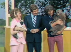 The Pet Set, Season 1 Episode 23 image