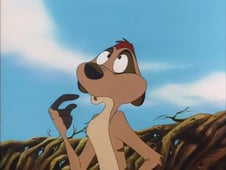 Timon & Pumbaa, Season 1 Episode 8 image