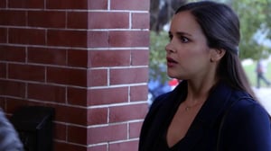 Brooklyn Nine-Nine, Season 3 Episode 14 image