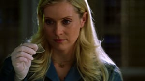CSI: Miami, Season 2 Episode 12 image