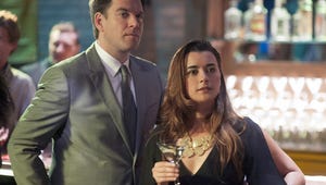 NCIS: Will Ziva Give the New Mossad Director a Chance?