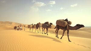 Journey with Dylan Dreyer, Season 1 Episode 2 image