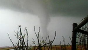 Serial Killer Earth, Season 1 Episode 7 image