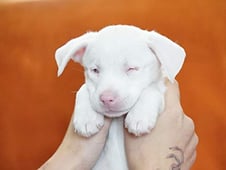 Amanda to the Rescue, Season 1 Episode 2 image