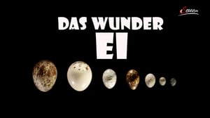 Terra Mater, Season 1 Episode 293 image