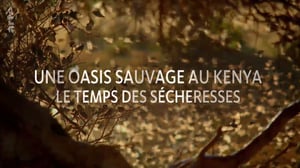 Terra Mater, Season 1 Episode 387 image