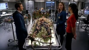 Bones, Season 5 Episode 6 image