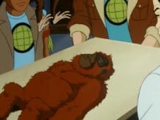 Captain Planet and the Planeteers, Season 4 Episode 20 image