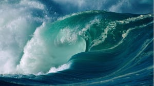 Hill Street Blues, Season 6 Episode 16 image