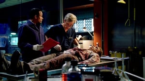 CSI: NY, Season 5 Episode 16 image