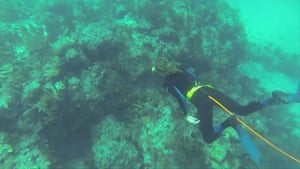 Adventure Capitalists, Season 1 Episode 3 image