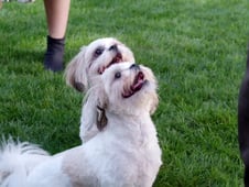 It's Personal with Amy Hoggart, Season 1 Episode 8 image