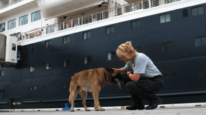 Dog Whisperer with Cesar Millan, Season 4 Episode 2 image