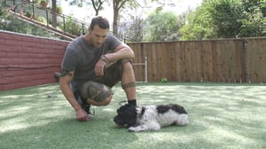 Lucky Dog, Season 3 Episode 13 image