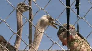 One Way Out, Season 1 Episode 10 image