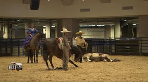 Red Steagall Is Somewhere West of Wall Street, Season 7 Episode 49 image