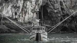 Port Protection, Season 4 Episode 5 image