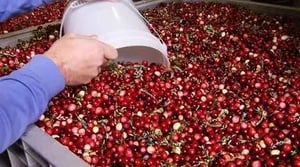 America's Heartland, Season 8 Episode 17 image