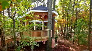 Treehouse Masters, Season 8 Episode 5 image