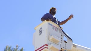 Storage Wars, Season 7 Episode 11 image