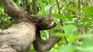 Earth Odyssey with Dylan Dreyer, Season 2 Episode 4 image