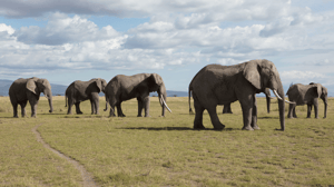 Hostile Planet, Season 1 Episode 3 image