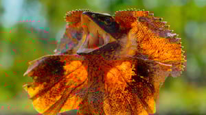 Tiny World, Season 1 Episode 4 image