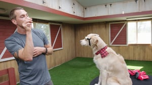 Lucky Dog, Season 4 Episode 20 image