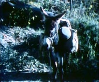 The Life and Times of Grizzly Adams, Season 2 Episode 11 image