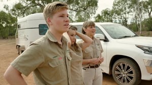 Crikey! It's the Irwins, Season 2 Episode 3 image