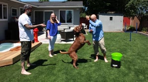 Animal Cribs, Season 1 Episode 5 image