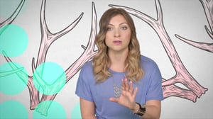 Girl Code, Season 3 Episode 11 image