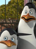 The Penguins of Madagascar, Season 1 Episode 7 image