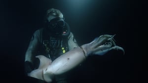 Descending, Season 1 Episode 8 image