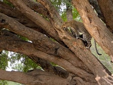 Extreme Africa, Season 1 Episode 2 image