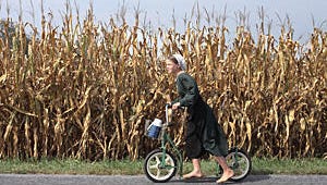 Roush Review: Bearing Witness to the Amish Way of Life