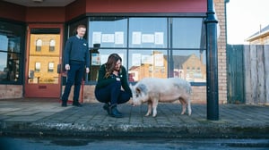 Rosehaven, Season 3 Episode 1 image