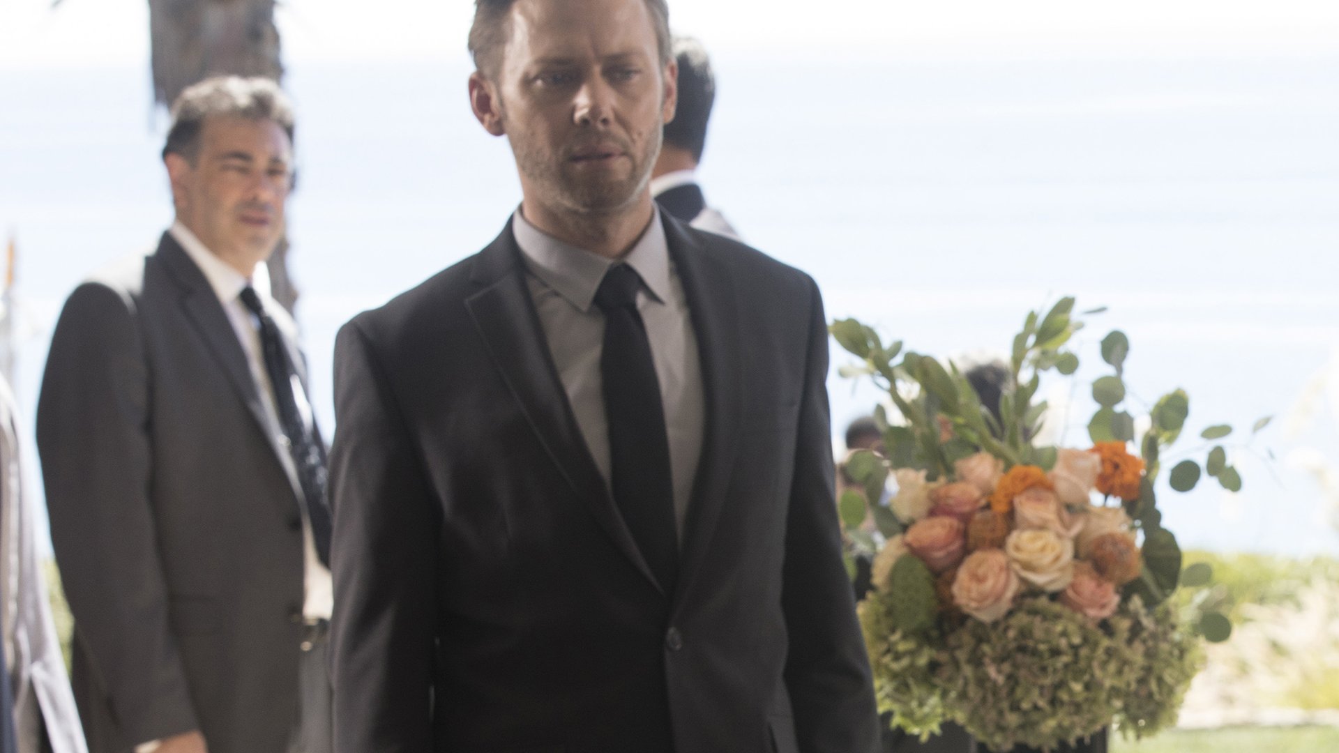 Jimmi Simpson, Westworld