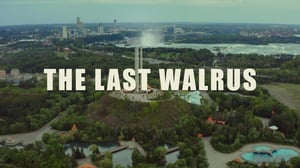 The Nature of Things, Season 60 Episode 14 image