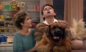 Empty Nest, Season 3 Episode 9 image