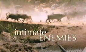 Nature, Season 19 Episode 5 image