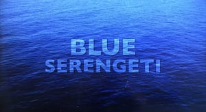 Shark Week, Season 29 Episode 15 image