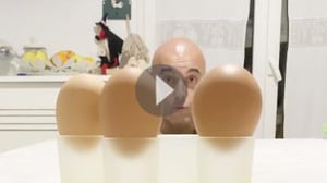 Totally Weird and Funny, Season 1 Episode 12 image