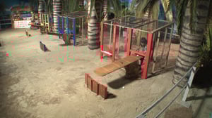 Big Brother, Season 21 Episode 21 image