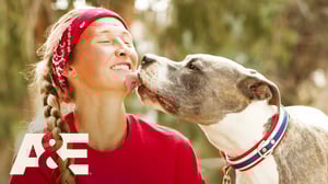 America's Top Dog, Season 2 Episode 1 image