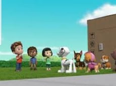 PAW Patrol, Season 8 Episode 17 image