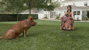 True Blood, Season 1 Episode 12 image