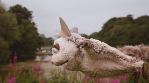 Wildwoods, Season 1 Episode 21 image