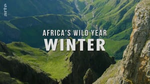 Africa's Wild Year, Season 1 Episode 4 image